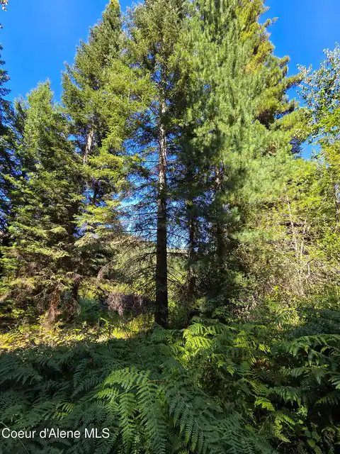 NNA Pup Paw Trail, Priest River, ID 83856 — photo 17