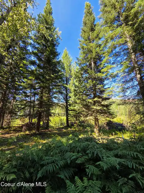 NNA Pup Paw Trail, Priest River, ID 83856 — photo 18