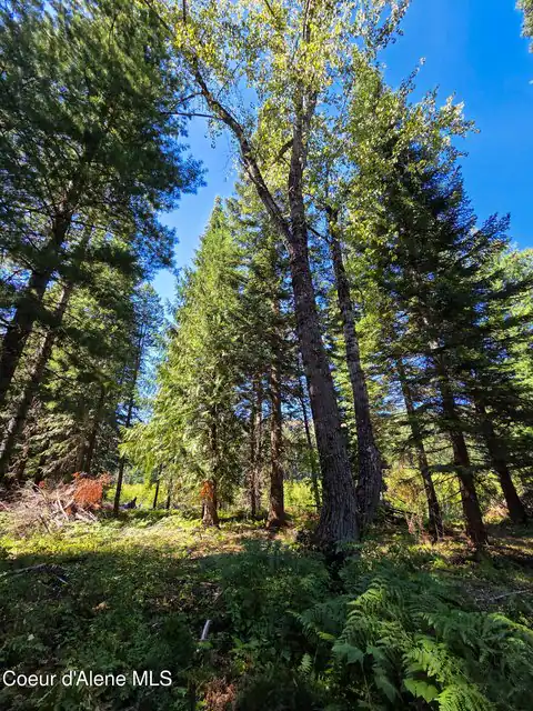 NNA Pup Paw Trail, Priest River, ID 83856 — photo 19