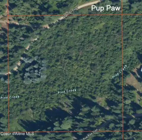 NNA Pup Paw Trail, Priest River, ID 83856 — photo 2