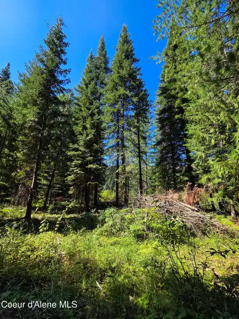 NNA Pup Paw Trail, Priest River, ID 83856 — photo 20