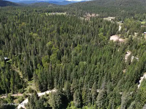 NNA Pup Paw Trail, Priest River, ID 83856 — photo 21