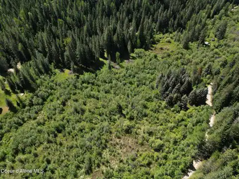 NNA Pup Paw Trail, Priest River, ID 83856 — photo 29