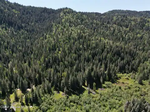 NNA Pup Paw Trail, Priest River, ID 83856 — photo 34