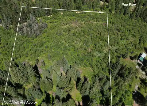 NNA Pup Paw Trail, Priest River, ID 83856 — photo 37