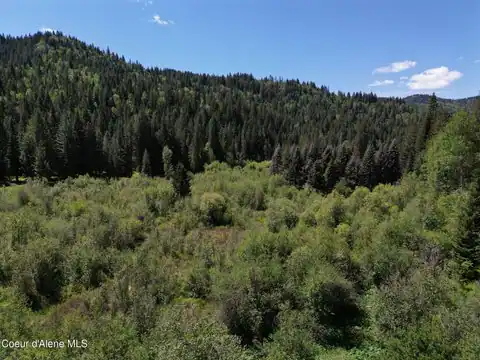 NNA Pup Paw Trail, Priest River, ID 83856 — photo 4