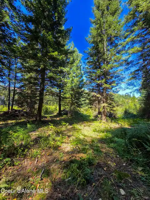 NNA Pup Paw Trail, Priest River, ID 83856 — photo 6