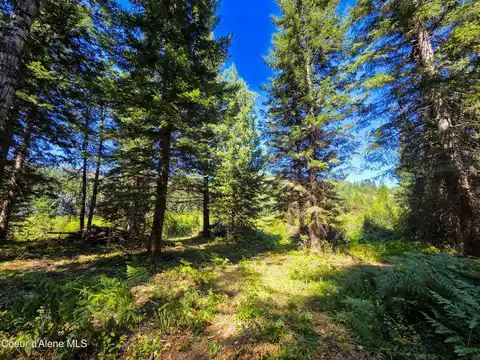 NNA Pup Paw Trail, Priest River, ID 83856 — photo 7