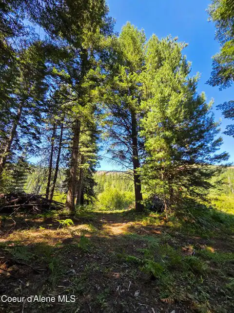 NNA Pup Paw Trail, Priest River, ID 83856 — photo 8