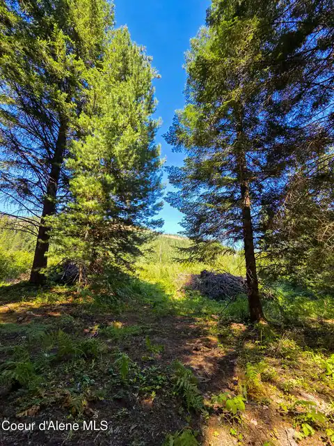 NNA Pup Paw Trail, Priest River, ID 83856 — photo 9