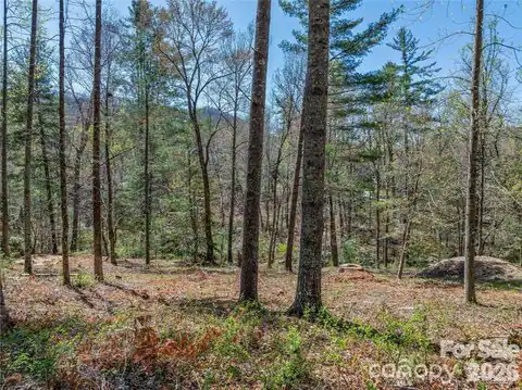 99999 Running Creek Trail #2, Arden, NC 28704 — photo 19
