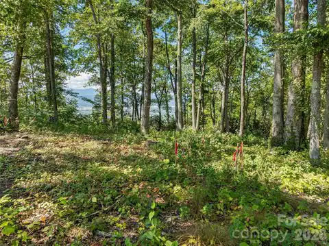 Lot 42 Haven View Trail, Fletcher, NC 28732 — photo 10