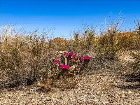120 Old Spanish Trail Hwy, Tecopa, CA 92389 — photo 5