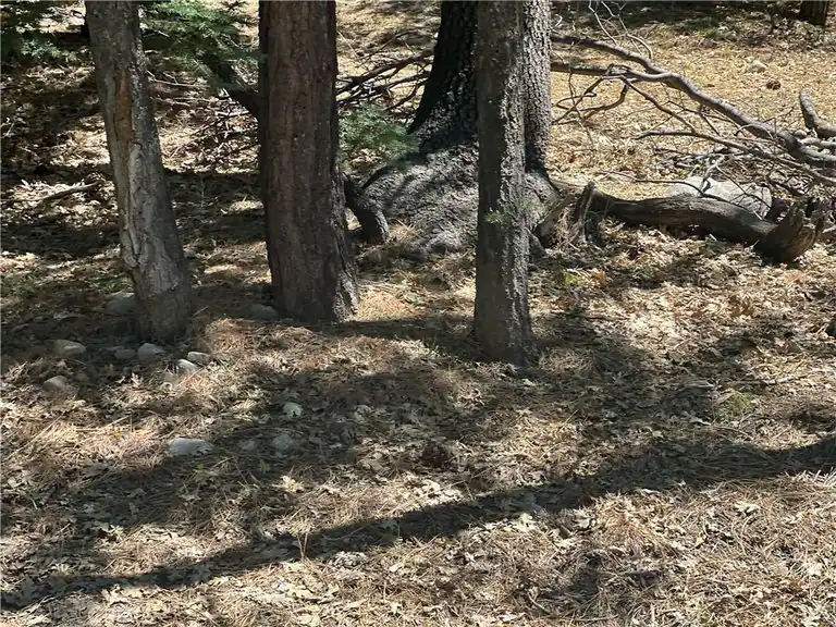 16 Tank, Arrowbear, CA 92382