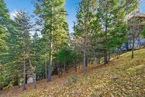 0 State Highway, Lake Arrowhead, CA 92352 — photo 24