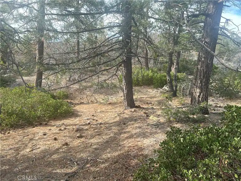 0 Hardy, Arrowbear, CA 92382