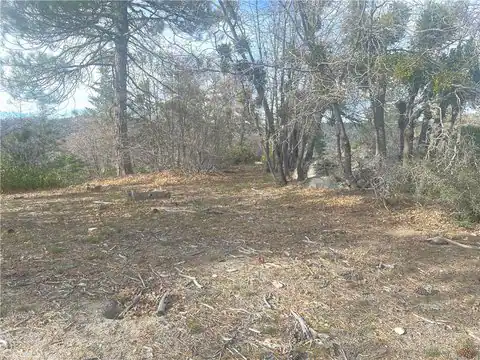 0 Hardy, Arrowbear, CA 92382 — photo 4