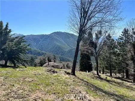 41 Fredalba Road, Running Springs, CA 92382