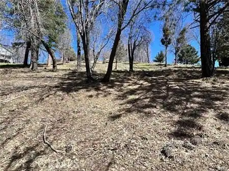 41 Fredalba Road, Running Springs, CA 92382 — photo 2