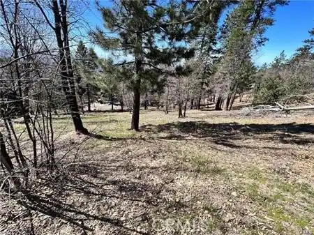 41 Fredalba Road, Running Springs, CA 92382 — photo 4