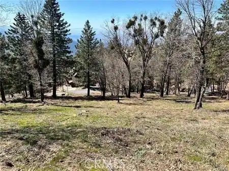 41 Fredalba Road, Running Springs, CA 92382 — photo 5