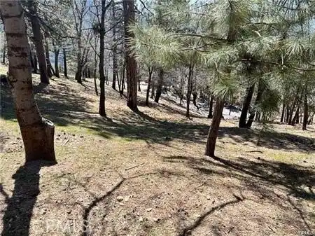 41 Fredalba Road, Running Springs, CA 92382 — photo 6