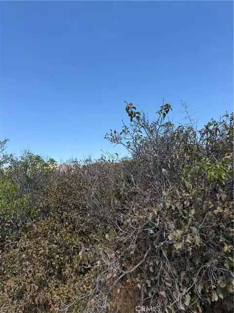 3 Indian Trails Rd, Aguanga, CA 92536 — photo 8