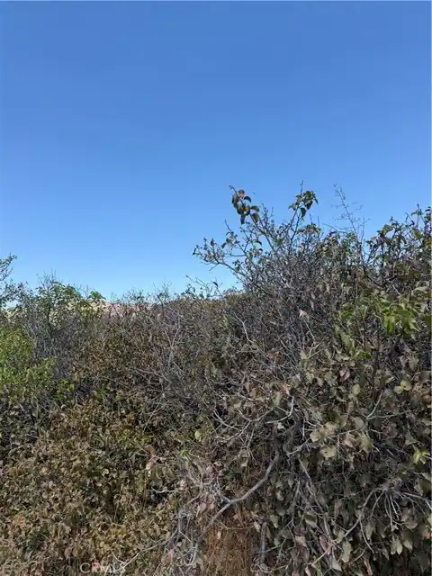 4 Indian Trails, Aguanga, CA 92536 — photo 9