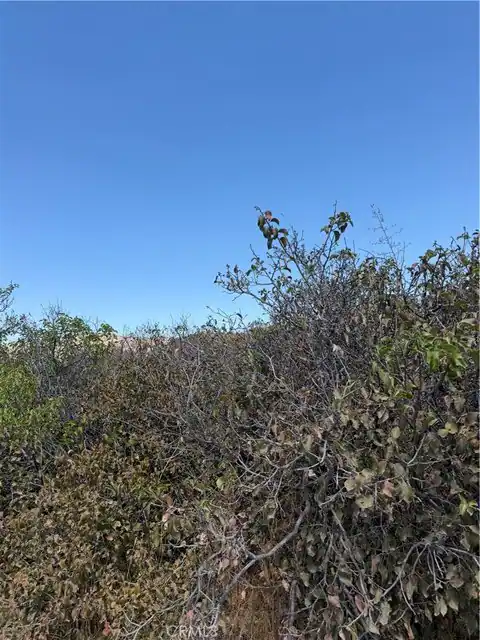 1 Silent Valley, Aguanga, CA 92536 — photo 11