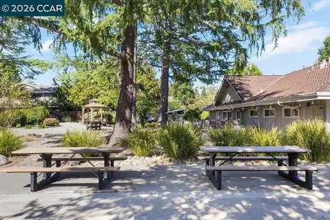 143 Miramonte Dr, Moraga, CA 94556 — photo 34