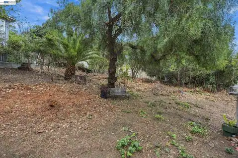 2525 E 29TH ST, Oakland, CA 94602 — photo 34