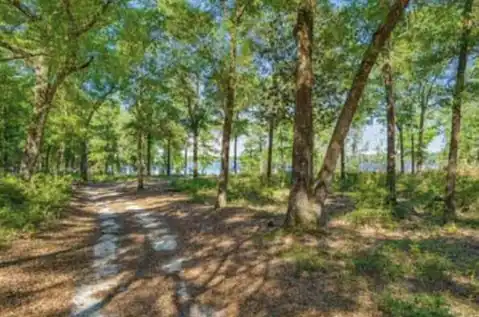 xxxx St Highway 83, Defuniak Springs, FL 32433 — photo 2