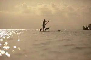 9100 Baytowne Wharf Blvd #558, Miramar Beach, FL 32550 — photo 54