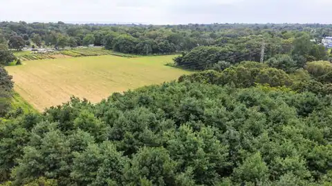 134 ACCABONAC RD, East Hampton, NY 11937 — photo 6