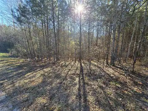 58 Wilton Smith Road, Temple, GA 30179 — photo 11