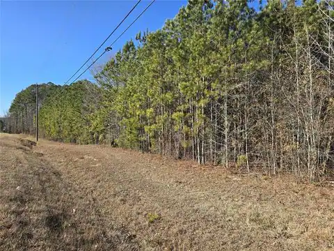 58 Wilton Smith Road, Temple, GA 30179 — photo 2