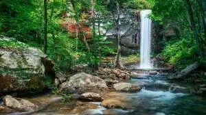 0 Rushing Water Trail, Rising Fawn, GA 30738 — photo 31