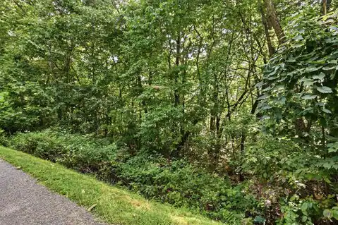 0 Old Rocky Trail, Rising Fawn, GA 30738 — photo 13