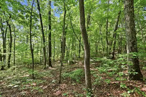 0 Old Rocky Trail, Rising Fawn, GA 30738 — photo 14