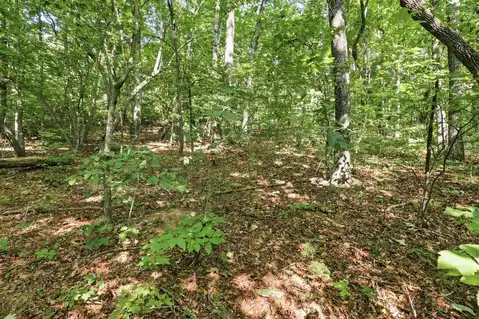 0 Old Rocky Trail, Rising Fawn, GA 30738 — photo 15