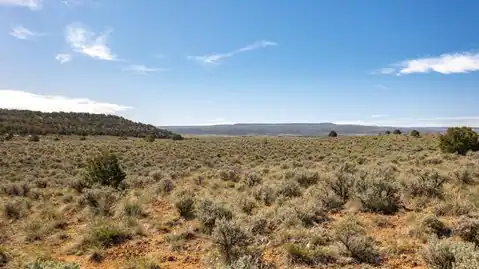 TBD S Trail Canyon Drive, Glade Park, CO 81523 — photo 19