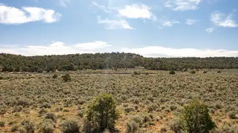 TBD S Trail Canyon Drive, Glade Park, CO 81523 — photo 20