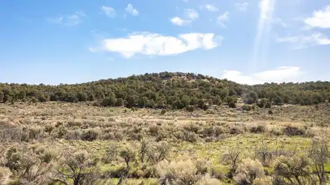 TBD S Trail Canyon Drive, Glade Park, CO 81523 — photo 24