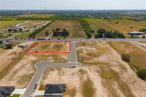 TBD (C-1) Salinas Boulevard, Donna, TX 78539 — photo 6