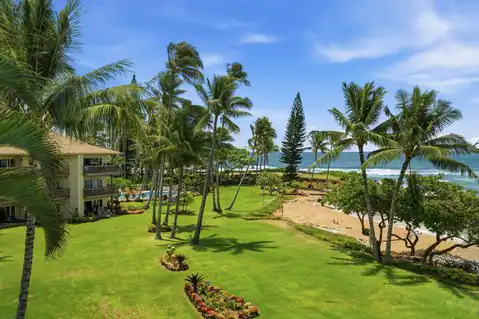 410 PAPALOA RD #533, Kapaa, HI 96746 — photo 13