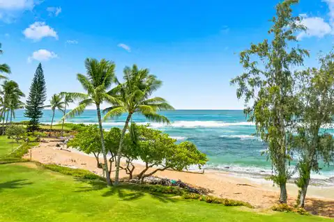 410 PAPALOA RD #533, Kapaa, HI 96746 — photo 14