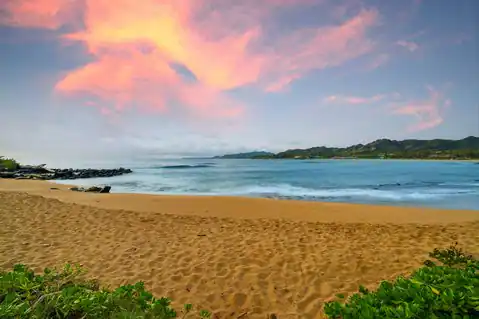 410 PAPALOA RD #533, Kapaa, HI 96746 — photo 22