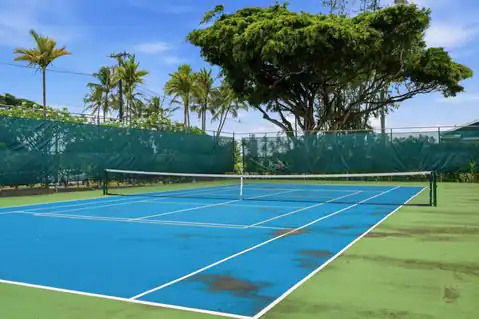 410 PAPALOA RD #533, Kapaa, HI 96746 — photo 27