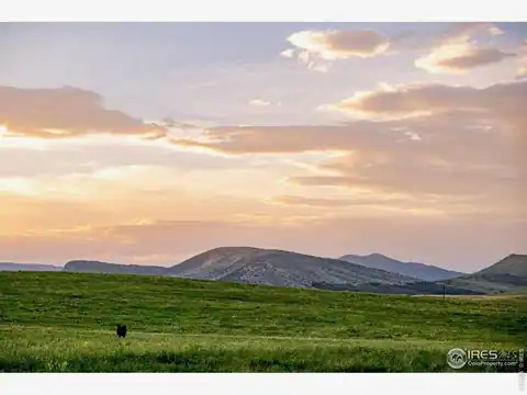 11534 Eagle Springs Trl, Longmont, CO 80503 — photo 12