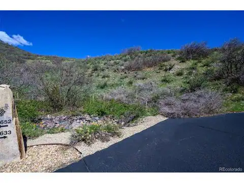 16653 Golden Rod Ln, Morrison, CO 80465 — photo 10